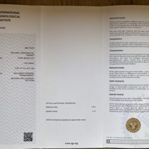Topkwaliteit spessartien granaat IGI certificaat