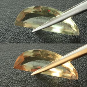 Turkish color change diaspore